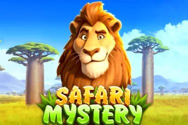 917 app-এর মেনু ও কার্ড লেআউট